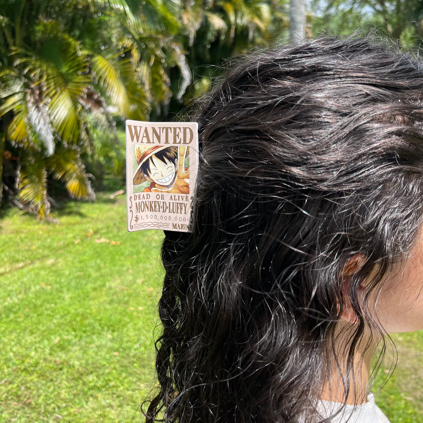 wanted poster claw clip